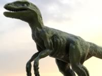 Velociraptor 3d model